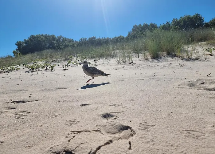 Ostseepark Lejlighed *